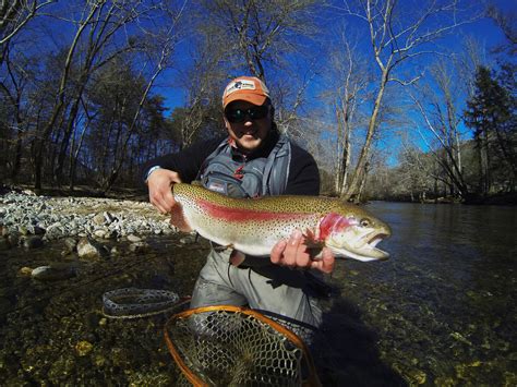 Cherokee NC Fly Fishing Guides Cherokee Trophy Trout Fly Fishing