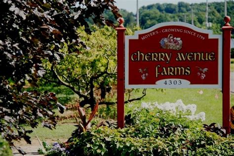 Cherry Avenue Farms in Bon Accord, AB - whodoyou.com