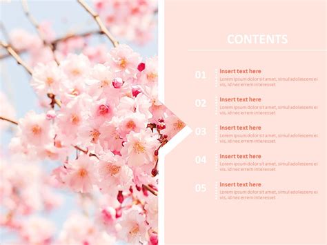 Cherry Blossom Powerpoint Template Database