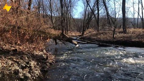 Cherry Creek Crossing Loop Trail Pennsylvania US - YouTube