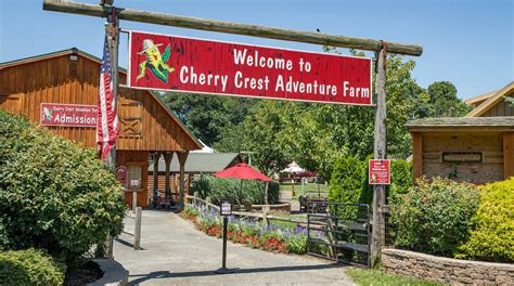 Cherry crest farm. Cherry Crest is a amazing place to bring younger kiddos and even Teens. There are different parts of the park, Petting Zoo, Attraction Area, and the Zoo area .Also Knowing that is just a couple minutes away from Lancaster gives this experience a bigger possibility. 