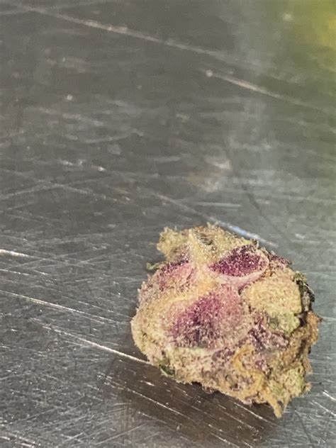 Cherry popper weed strain. Crypto. Television. Celebrity. r/weed. r/weed. r/weed is the legitimate, original, and most inclusive marijuana community on Reddit. Talk strains, first times, declarations to quit or take a 'T-break' and positive/negative experiences. Share your photos and videos of sexy buds, plants, or cherished pieces. 