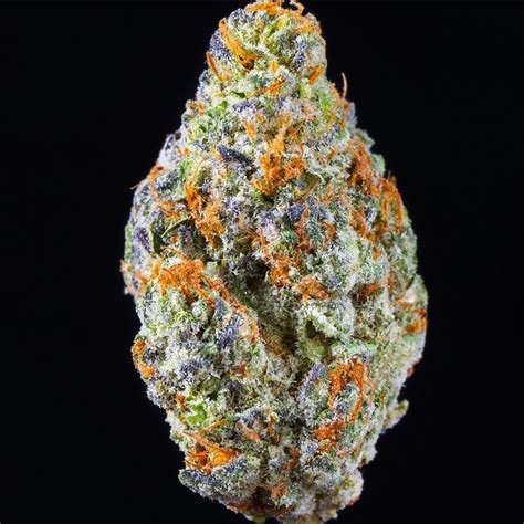 Cherry poptart strain. Anxiety. Pain. Stress. calming energizing. Blue Raspberry, also known as "Blue Razz," is a potent hybrid marijuana strain believed to originate from a Raspberry Kush cross. While little is known ... 