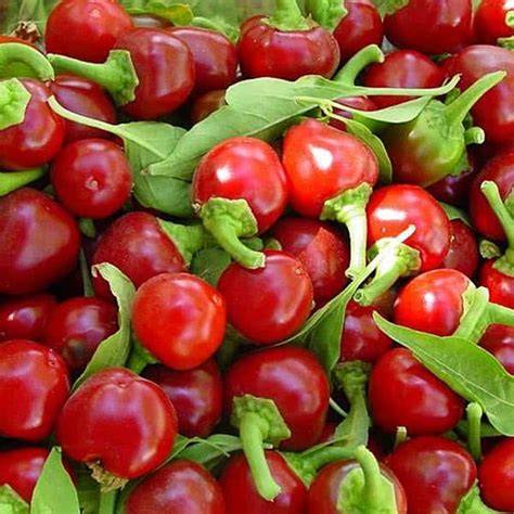 🔥 (SEX) Cherrybomberry Leaked