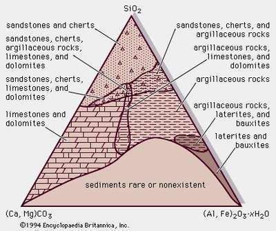 The composition of the Phanerozoic radiolaritic