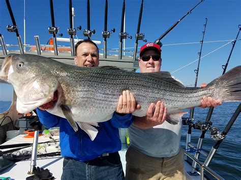 Chesapeake Bay Fishing Charters & Sport Fishing Trips