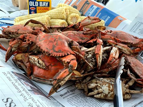 Chesapeake Bay Food Catalog : Top Picked from our Experts