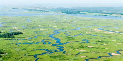 Chesapeake Bay Watershed Implementation Plans (WIPs)