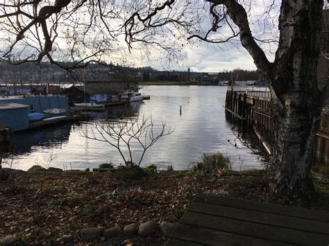 Cheshiahud Lake Union Loop — Washington Trails Association