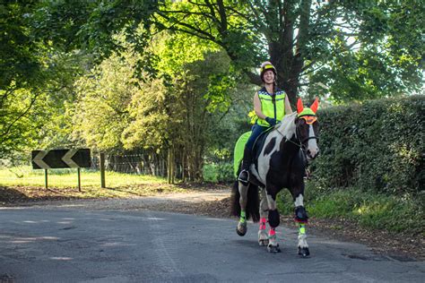 Cheshire Riding School & Hacking Centre - Visit Cheshire