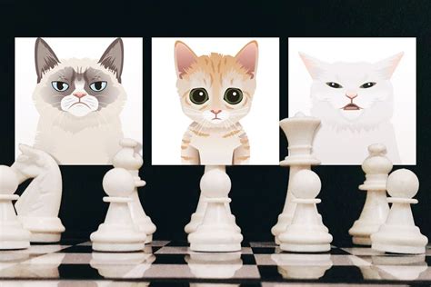 Chess Cat Names : r/chess - Reddit