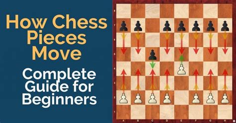 Chess for everyone a complete guide for the beginner. - Apache server commentary guide to insiders knowledge on apache server code.