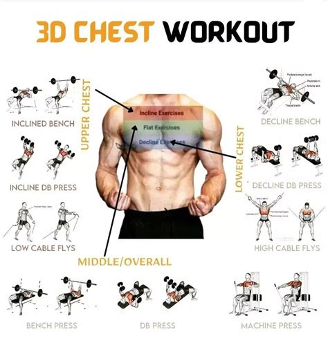 Chest exercises for men 