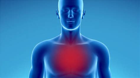 Various heart problems can cause pain in the chest. 1. Heart attack. Chest pain is one of the five main symptoms of a heart attack. The others are: pain in the jaw, neck or back. lightheadedness .... 