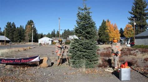 Chester streets are lined with straw - Plumas News