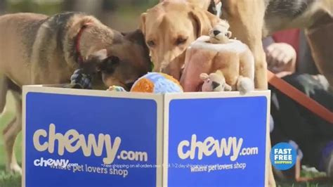 Chewy bunny commercial. by Chupa Cabra · 19th March 2024. Chewy has unveiled a new advertising campaign aimed at reminding pet owners that Chewy is their go-to source for all their pet care needs, no matter the ups and downs of pet parenting. In one of the commercials, a pair of pet owners find themselves repeatedly replacing their dog's beloved stuffed monkey toy. 