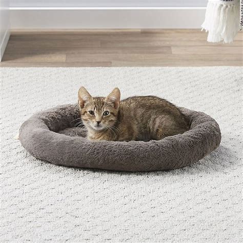 Chewy cat beds. Things To Know About Chewy cat beds. 