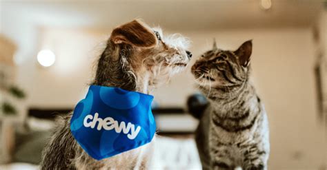 Chewy, Inc. is an American online retailer of pet food and other pet-related products based in Plantation, Florida. Chewy went public in 2010 with the ticker symbol CHWY on the New York Stock Exchange . History. 2011–2019: Founding, Acquisition and pre-IPO..