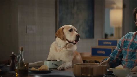 Chewy.com Commercial the dog sitting on the sofa spot 