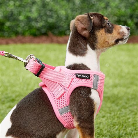 Chewy dog harness. Things To Know About Chewy dog harness. 