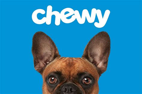 Chewy pet company. Things To Know About Chewy pet company. 