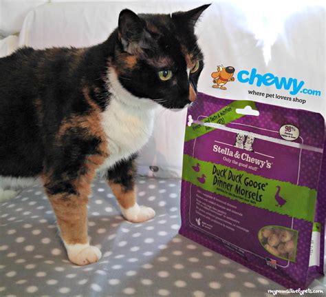 Chewy pet supplies. Things To Know About Chewy pet supplies. 