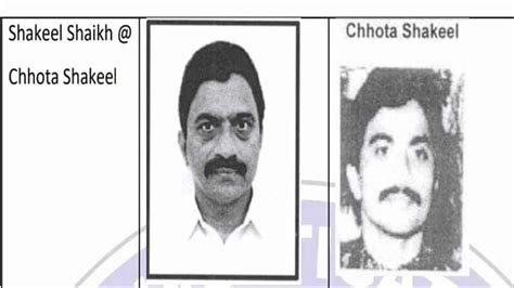 Chhota Shakeel - Wikipedia