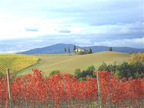 Chianti B&B Design infinity pool shared - Booking.com