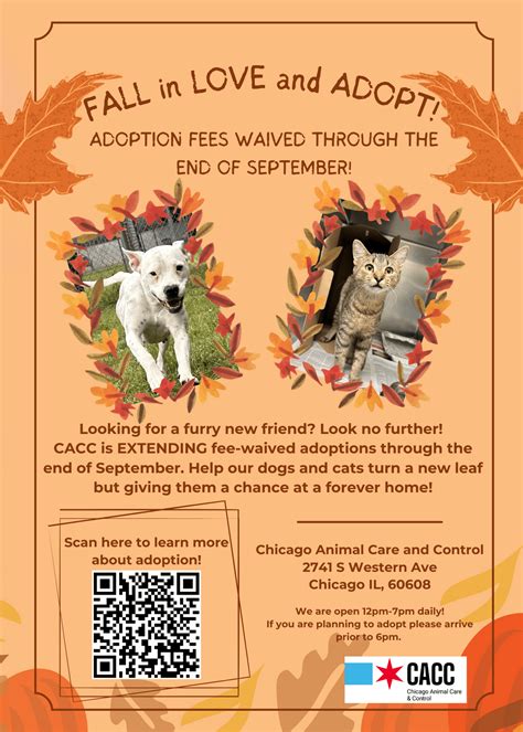 Chicago Animal Care and Control waiving adoption fees through September