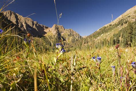 Chicago Basin Outdoor Project