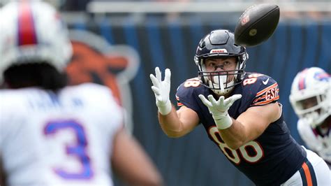Chicago Bears release linebacker, promote tight end, linebacker to active roster