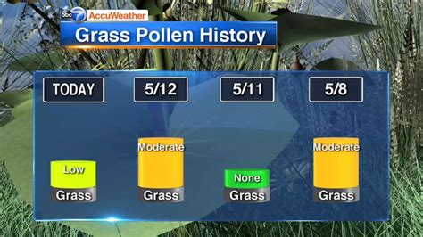 Allergy Tracker gives pollen forecast, ... Chicago Heights, IL Weather. 4. Today. Hourly. 10 Day ... The 15 Day forecast covers more than pollen – so even if pollen is low, the overall allergy .... 