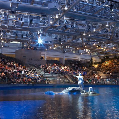 Chicago aquarium. Aug 1, 2023 ... Officials also said the construction itself will include at least 50% of total onsite labor work hours going to Chicago residents and 25% of ... 
