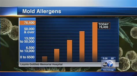 Chicago area mold count. The mold count is over the 50,000 threshold – that means Chicagoans can expect headaches, runny noses, sinus congestion and fatigue. To help prevent symptoms – stay indoors, keep windows ... 