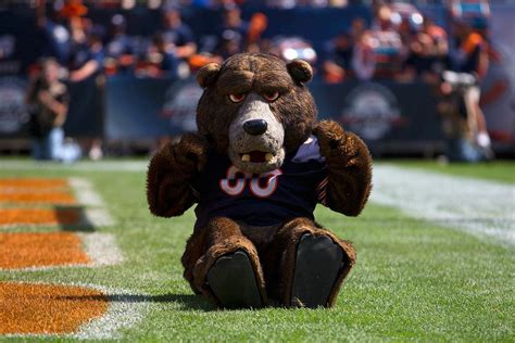 Chicago bears mascot. 
