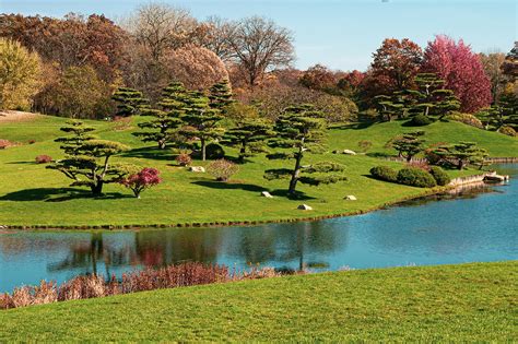 Chicago botanic garden glencoe il. The Chicago Botanic Garden is a public-private partnership. It is owned by the Forest Preserve District of Cook County and operated by the Chicago Horticultural Society. ... 