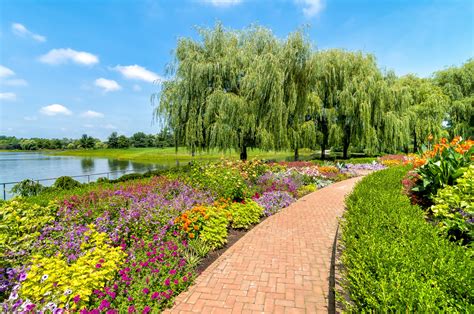 Chicago botanical gardens. Welcome to the Chicago Botanic Garden. With 28 spectacular gardens on 385 acres, the Garden is a place of ever-changing beauty that you can stroll through daily. Feel free to spend some time on this site and then come for a visit! 