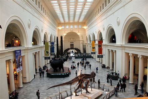 Field Favorites. If you’re trying to see the best of what the Field has to offer on a tight schedule, this is the tour for you! Explore how history, science, and community come together to make the Field Museum the dynamic institution it is today. Tour duration: approx. 45 mins. Museum open daily 9AM-5PM (last entry at 4PM). 