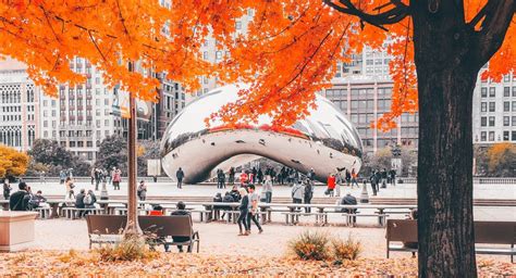 Chicago things to do in october