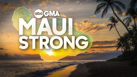 Chicago-based groups help with Maui relief efforts