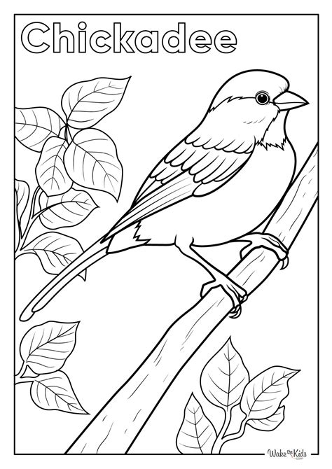 Womens History Month Coloring Pages