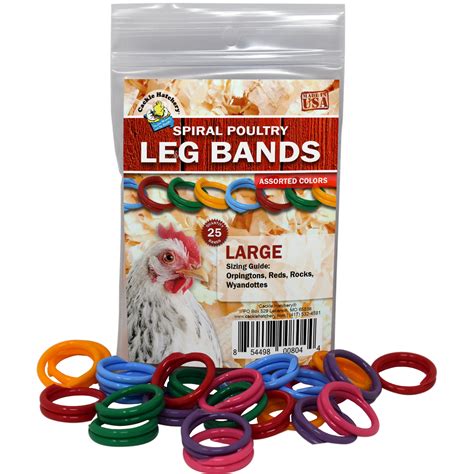 Chicken Leg Bands, Safe & Easy - YouTube