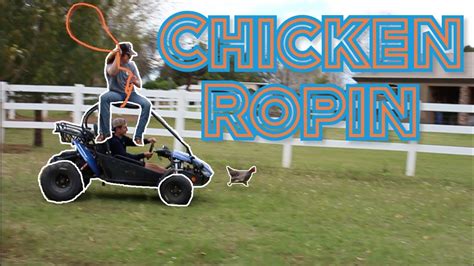 Chicken Roping- Rope Remfria - YouTube