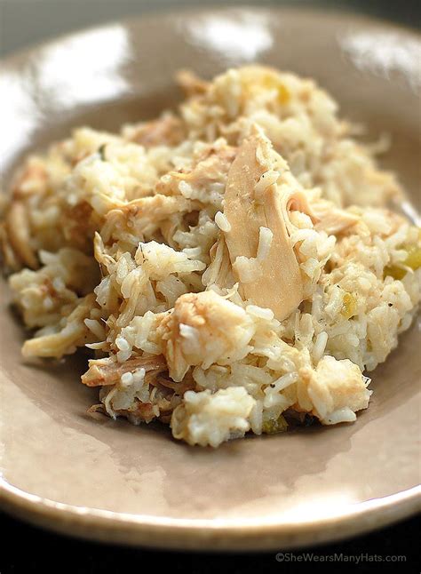 Chicken and rice recipe for dogs. Boil the chicken and vegetables for about 20 minutes until the vegetables are tender. Add the macaroni and rice mixture. Add the chicken broth mix and stir until dissolved. Bring to a boil and ... 