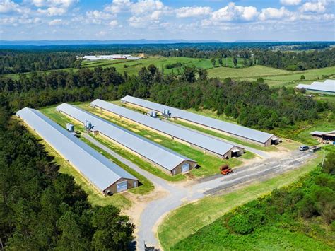 Poultry Farm with "Great income" for sale. 12 Fully Upgraded Poultry Houses 54'x500', Contract with Harrison. two double wide mobile homes on two separate tracts, one adjacent to the farm and one across the street sitting on a total of 109.82 acre with two 145'X40 ft stack houses that were built in... 109 Acres : $5,750,000 . 