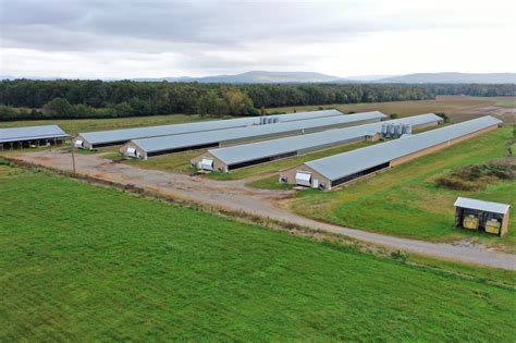 Chicken farms for sale in tennessee. East Tennessee Chicken Farms for Sale - 12 Properties - LandSearch 12 properties For you 37 days $375,000 6.7 acres McMinn County 1,200 sq ft · 2 bd Niota, TN 37826 22 days $695,000 15 acres Sullivan County 2,592 sq ft · 3 bd Bluff City, TN 37618 15 days $629,900 6.75 acres McMinn County 1,750 sq ft · 3 bd Athens, TN 37303 22 days 