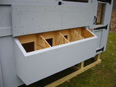 Chicken nest box size. Make sure your nest box is the correct size and height. Your hens want to feel cozy and safe. Ideally, a nest box should be 18 inches off the floor of the coop, ... 