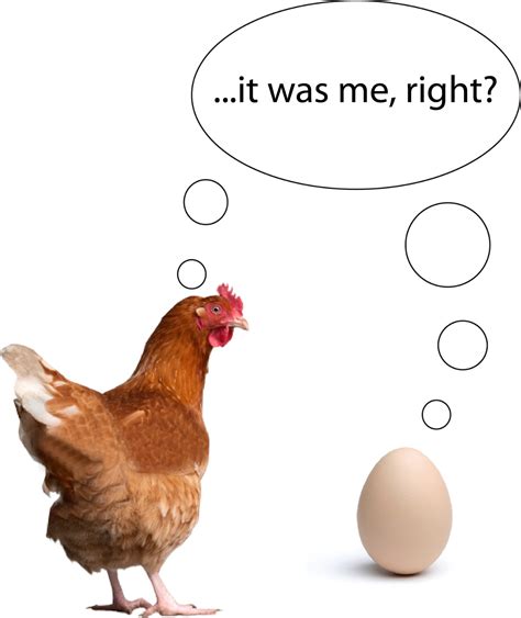 Chicken or the egg. However, some scientists disagree, and argue that the chicken must have come first. The scientists found that a protein found only in a chicken's ovaries is ... 