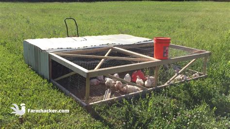 Moving Salatin-style chicken tractors with a homemade welded dolly.. 