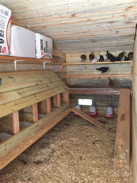 Read Online Chicken Coops 10 Best Chicken Coop Plans And Tips To Feeding And Raising Your Chickens Building Chicken Coops Raising Chickens For Dummies By Ursula Frank